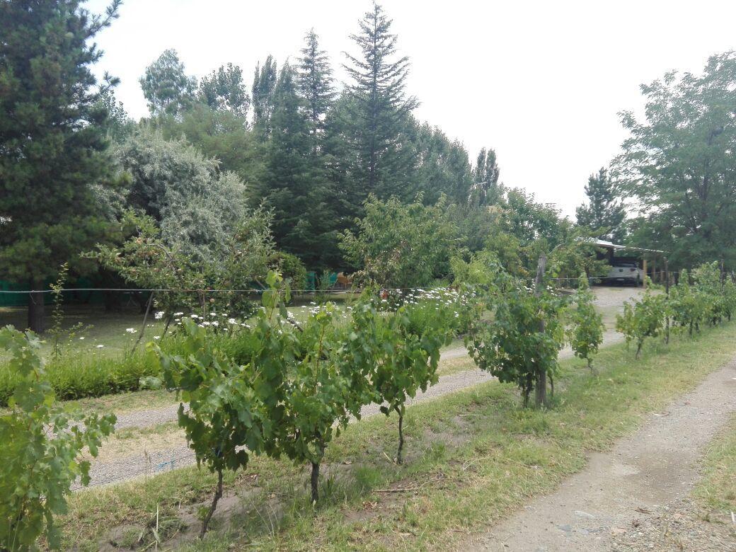 Casa Rural Entre Bodegas Y Vinedos ' El Jarillal" La Consulta Luaran gambar