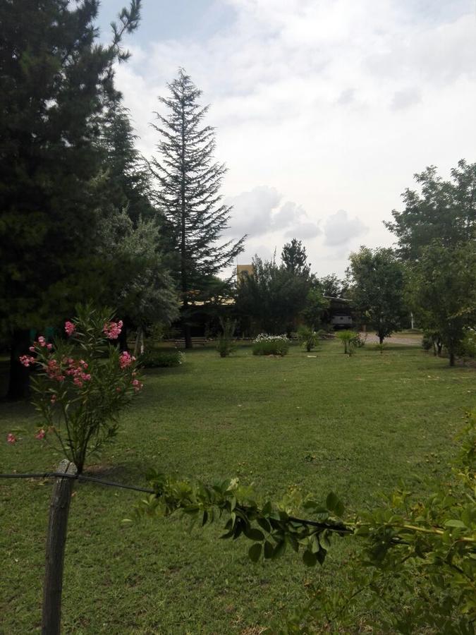 Casa Rural Entre Bodegas Y Vinedos ' El Jarillal" La Consulta Luaran gambar